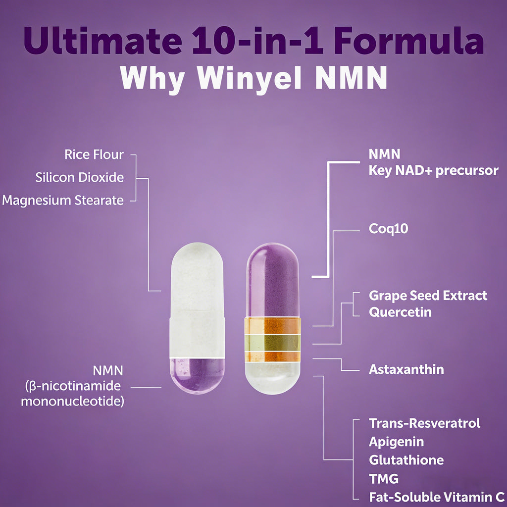 Winyel NMN 1000mg – 10-in-1 Anti-Aging Supplement with Resveratrol & CoQ10 (120 Vegetarian Capsules, 60 Servings)