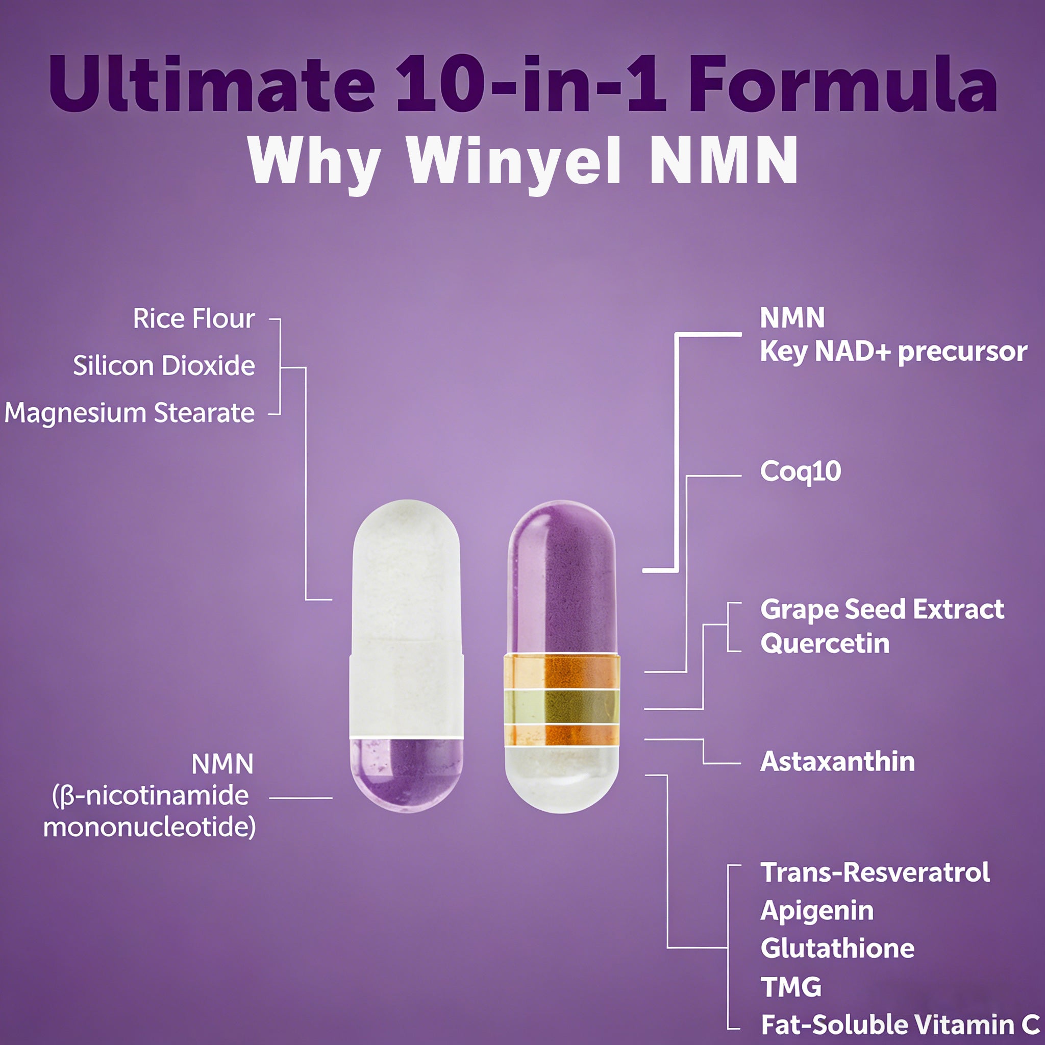 Winyel NMN 1000mg – 10-in-1 Anti-Aging Supplement with Resveratrol & CoQ10 (120 Vegetarian Capsules, 60 Servings)