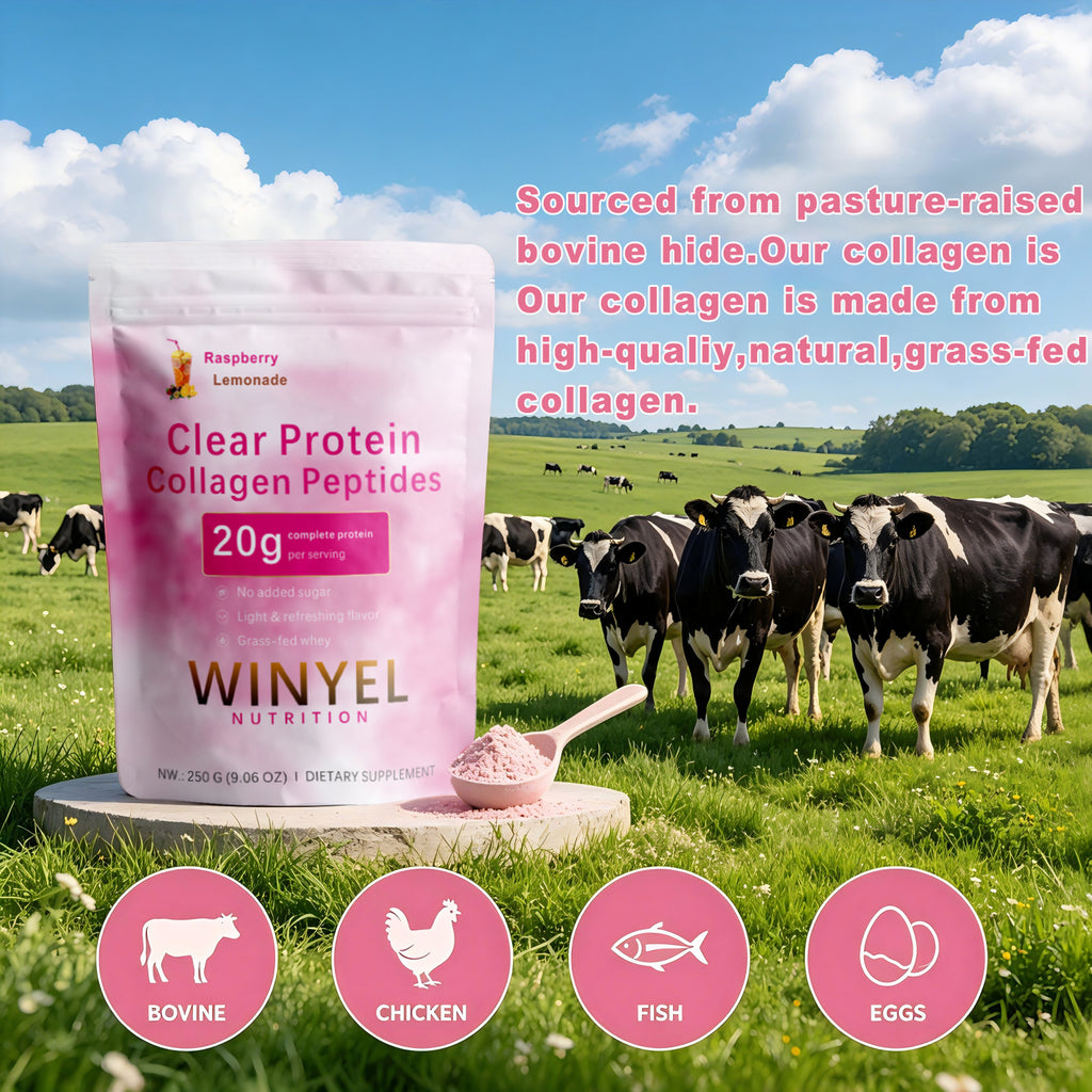 Winyel Clear Protein Collagen Peptides – Raspberry Lemonade, 20g Protein, Zero Sugar (250g, 10 Servings)
